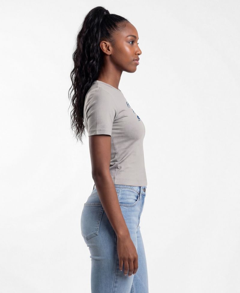 Women's Chicago Cubs Fitted Cropped T-Shirt