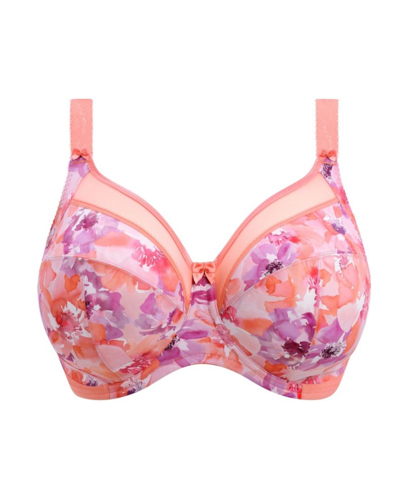 Plus Size Kayla Underwire Bra
