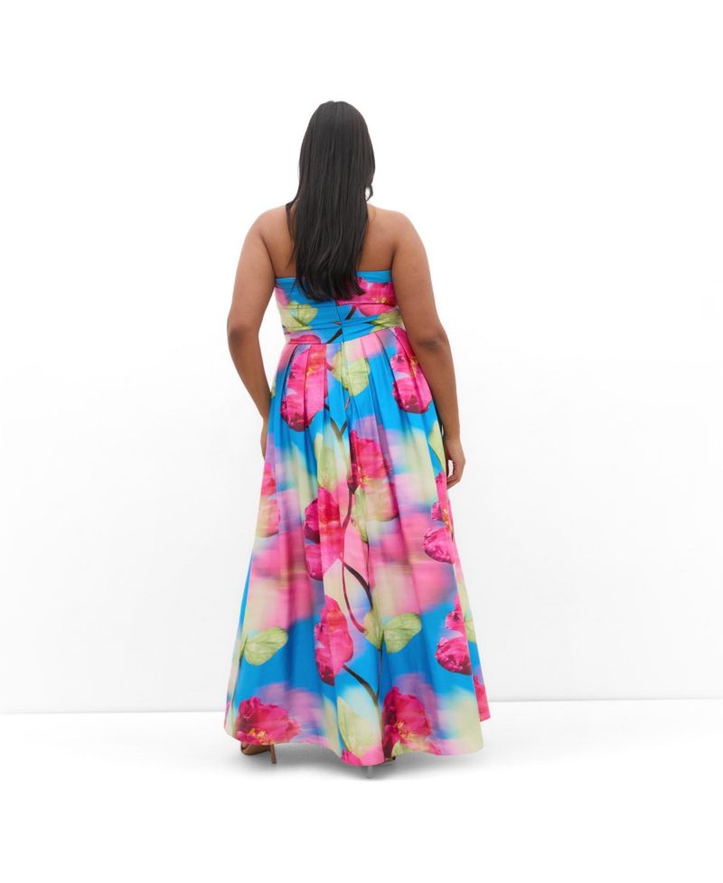 Women's Rosalee Sleeveless Print Maxi Dress