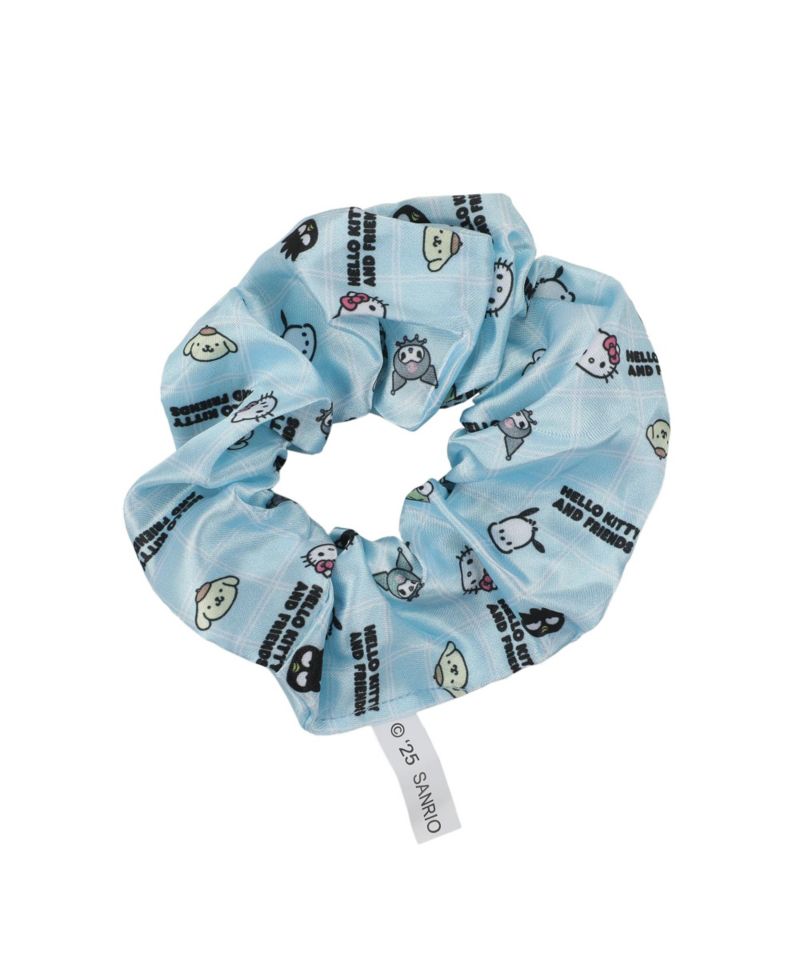 and Friends Printed Fabric Hair Scrunchies (6-Piece Set)