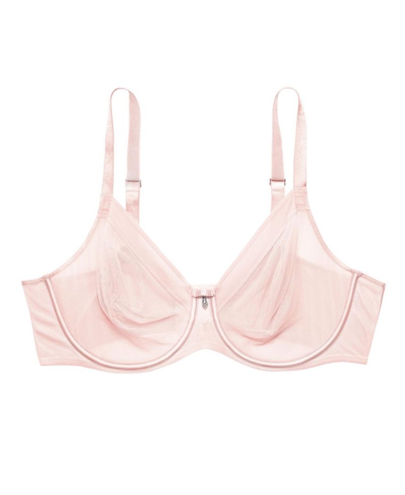 Women's Sheer Mesh Full Coverage Unlined Underwire Bra