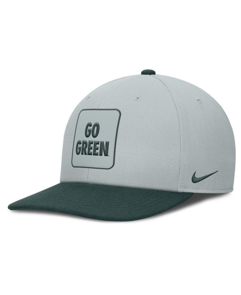 Men's Gray/Green Michigan State Spartans 2025 Sideline Campus Pro Local Snapback Hat