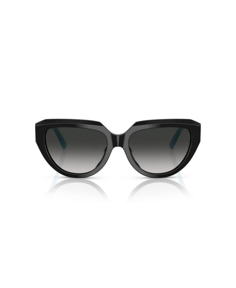 Women's Sunglasses, TF4238U