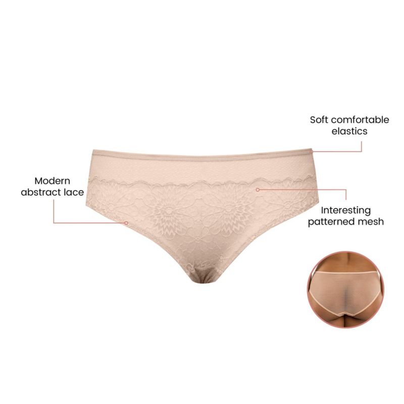 Women's Luxlacy Pretty Lace And Mesh Hipster Panty With Extended Cameo Rose