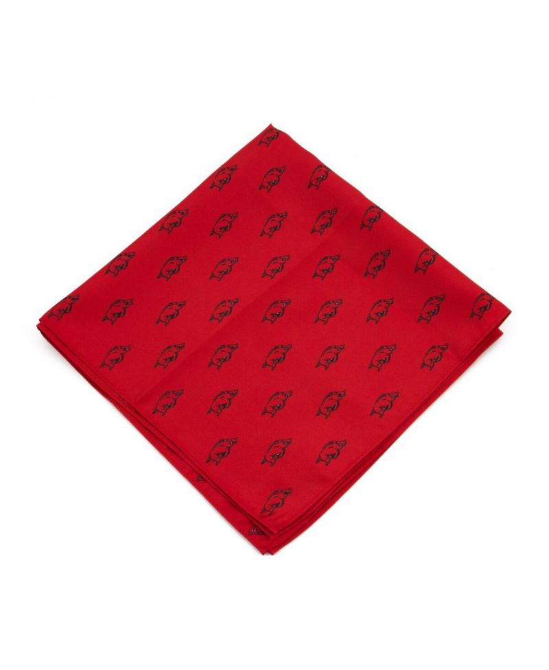 Arkansas Razorbacks Kerchief Pocket Square