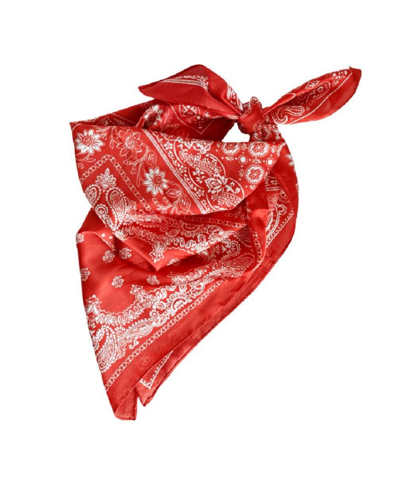 Women's Satin Paisley Headscarf