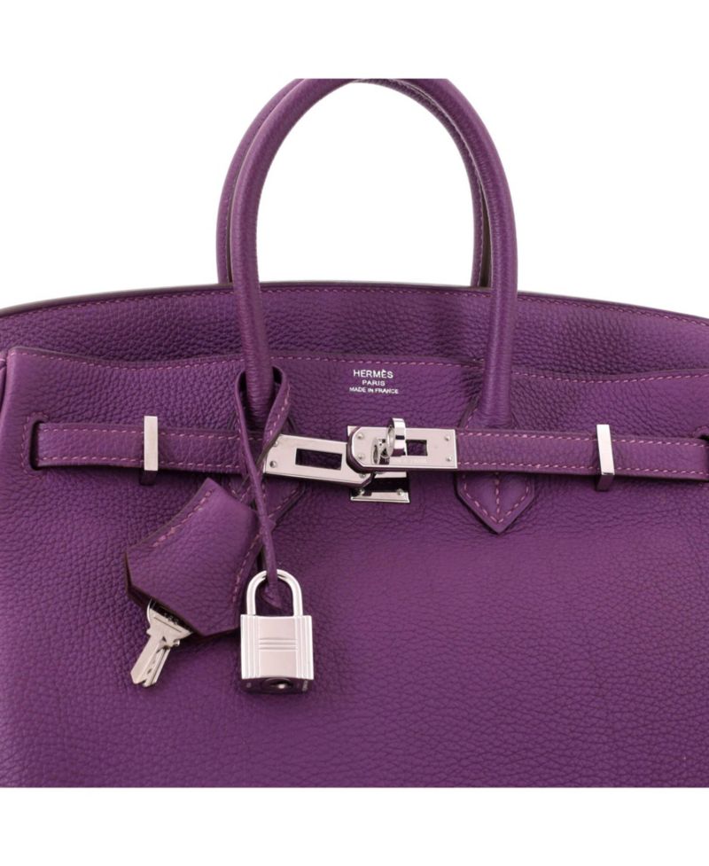 Birkin 25 Handbag Purple Togo with Palladium Hardware