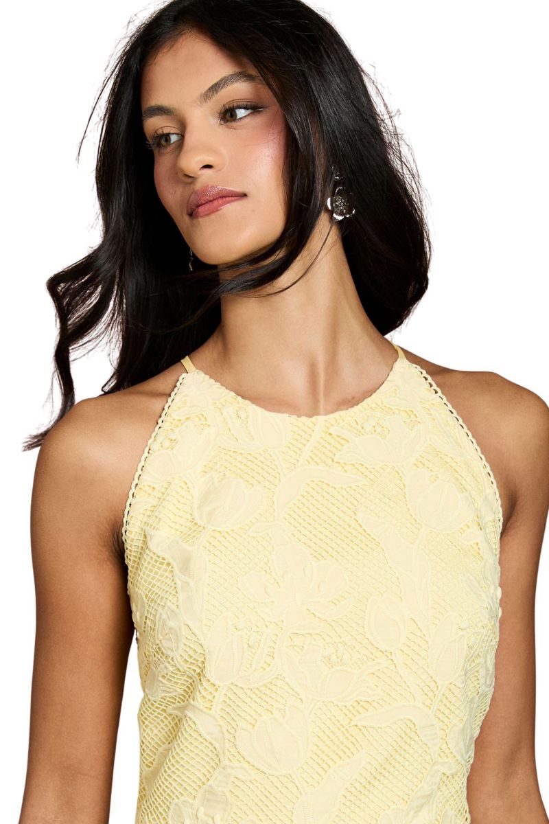 Women's Halterneck Lace Midi Dress