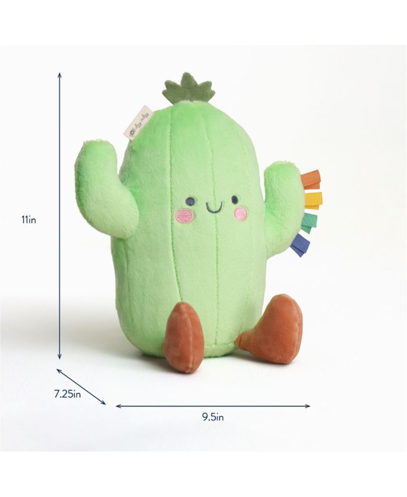 Baby Sweetie Snuggles Cactus