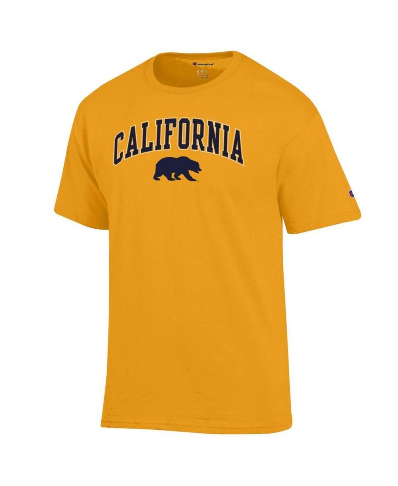 Men's Heather Gray Cal Bears Arched Logo T-Shirt