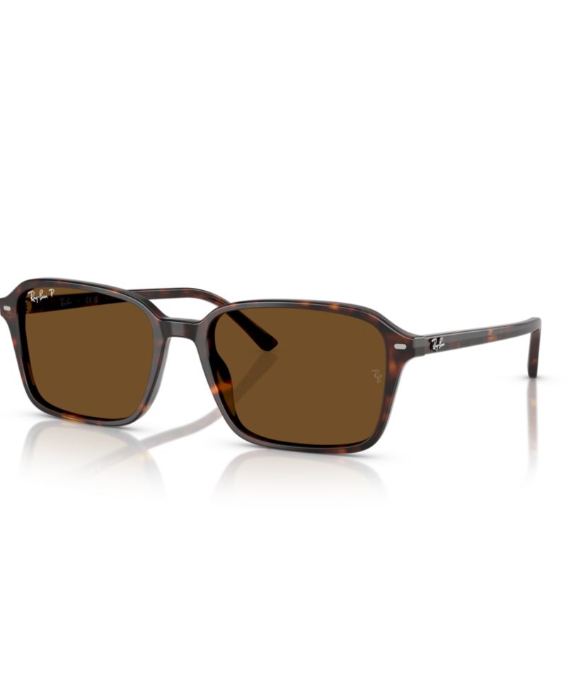 Unisex Raimond Polarized Sunglasses, RB2231