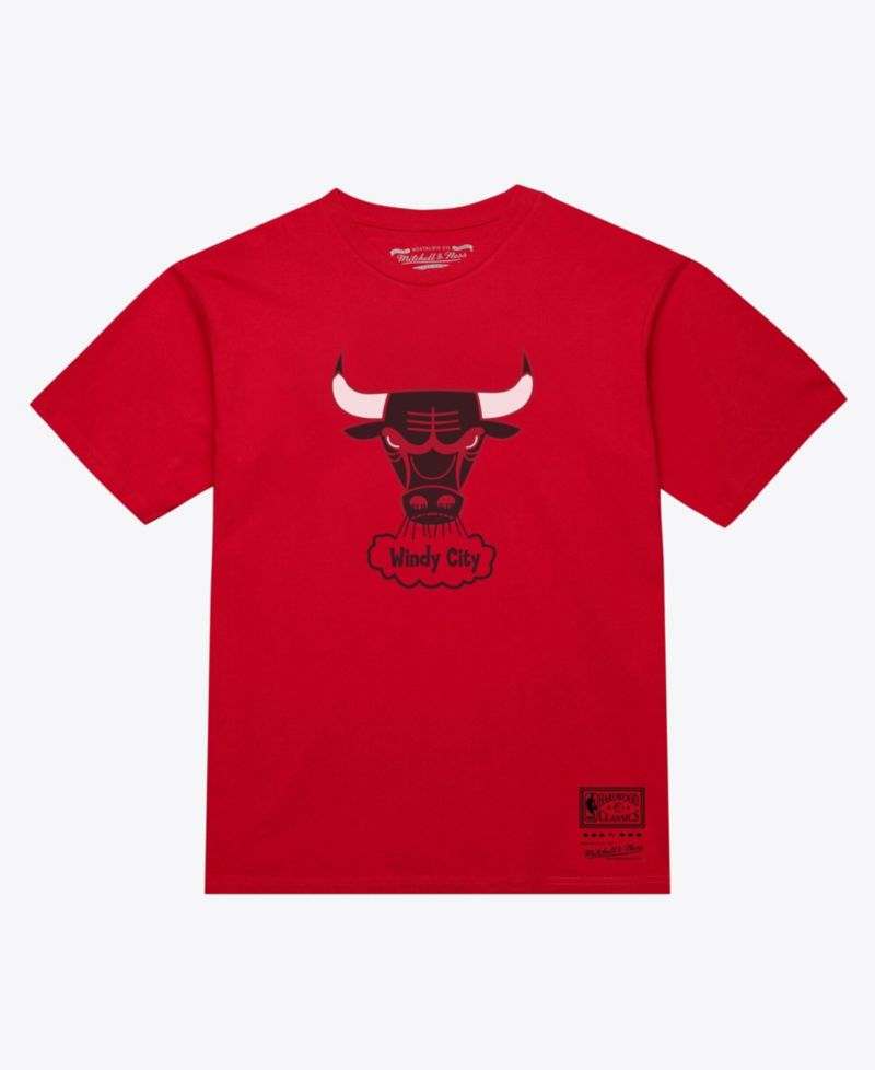 Men's and Women's Red Chicago Bulls Hardwood Classics Arch T-Shirt
