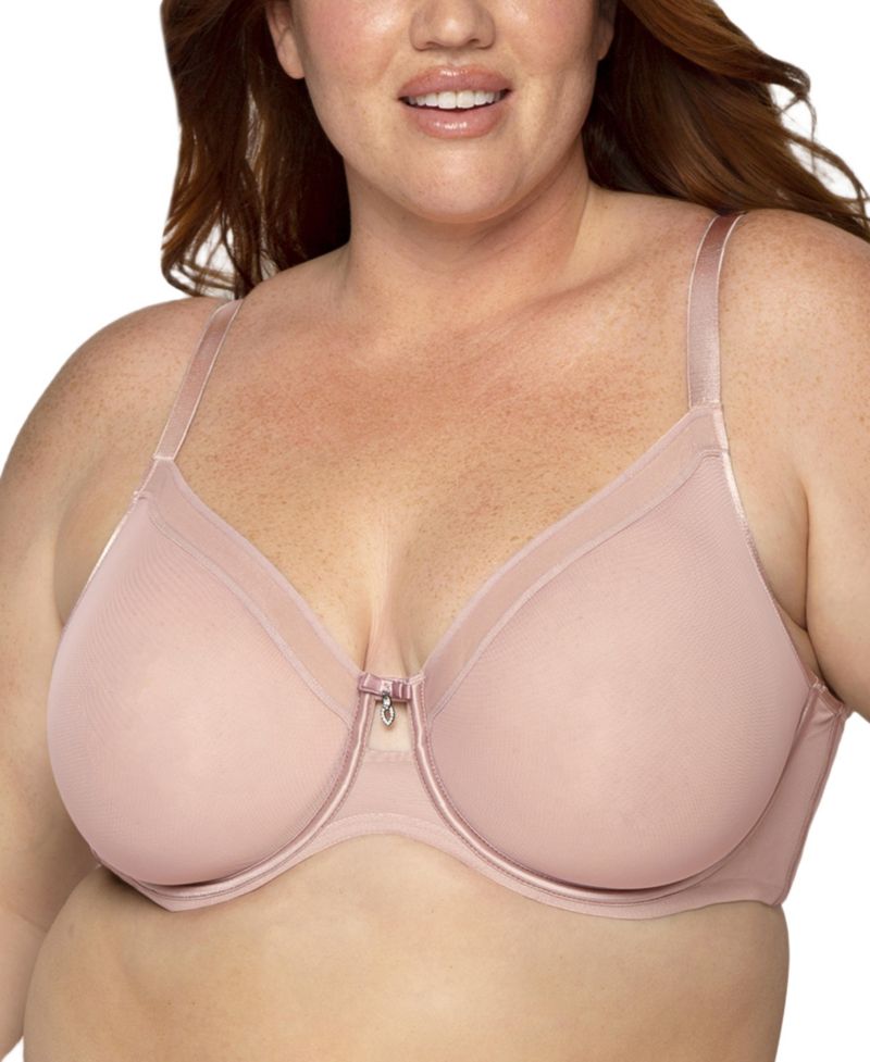 Women's Sheer Mesh Full Coverage Unlined Underwire Bra