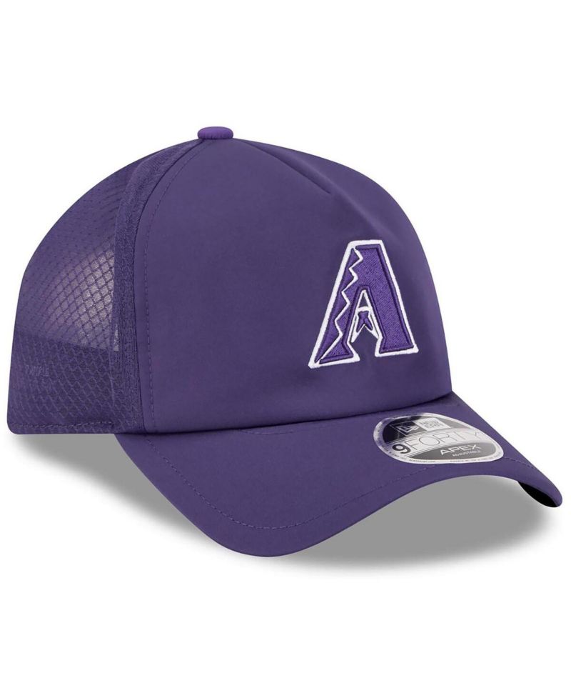 Men's Purple Arizona Diamondbacks 2026 Batting Practice Alternate Apex 9FORTY Adjustable Hat