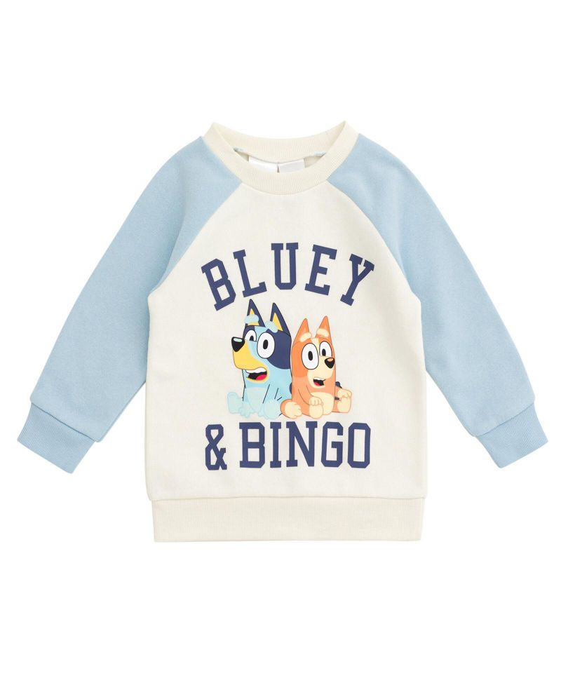 Girls 2-Piece Fleece Sweatshirt and Pants Set