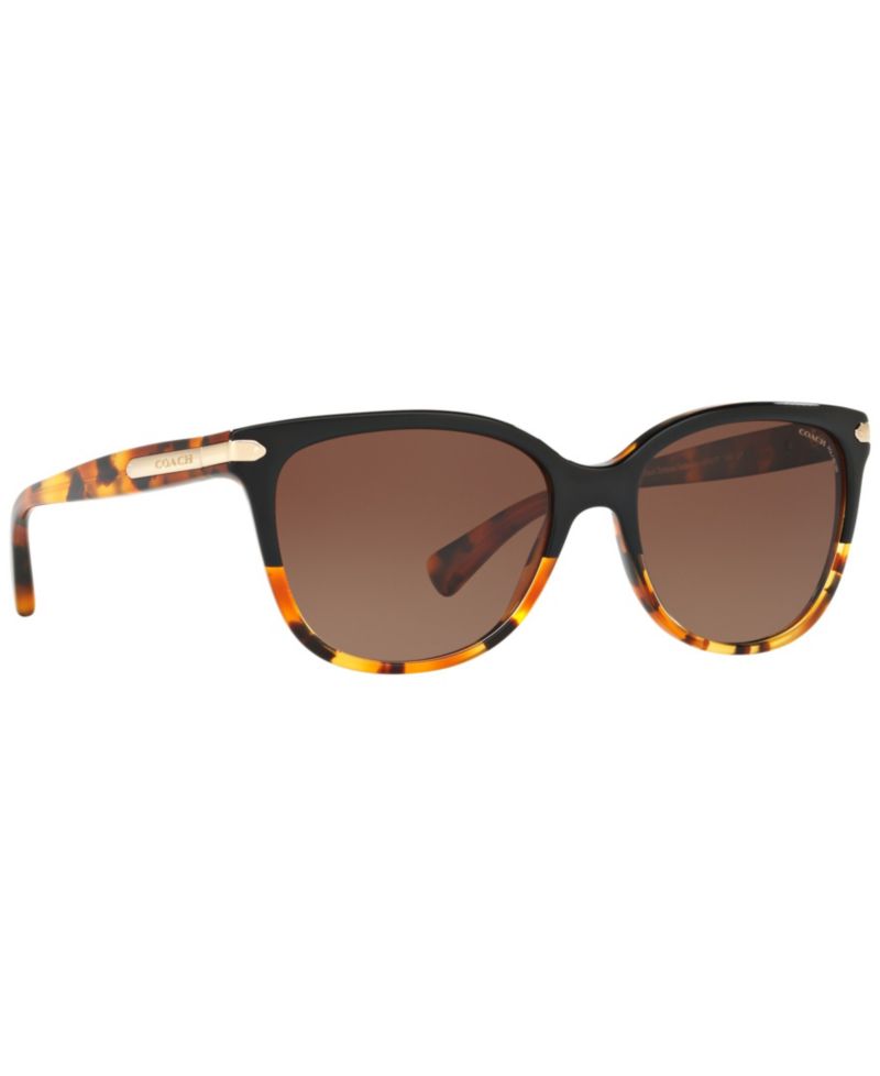 Polarized Polarized Sunglasses , HC8132