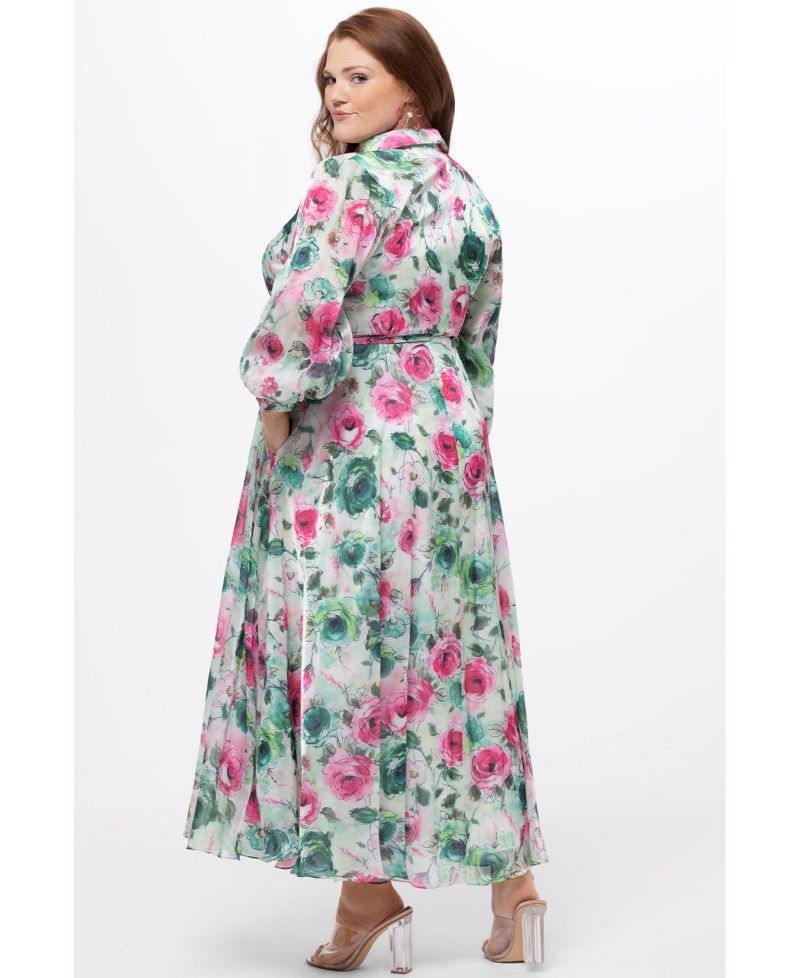 Women's Long Sleeve Floral Button Down Dress