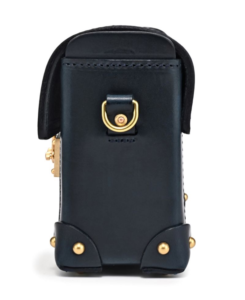 Azalea Vintage Case Crossbody Bag