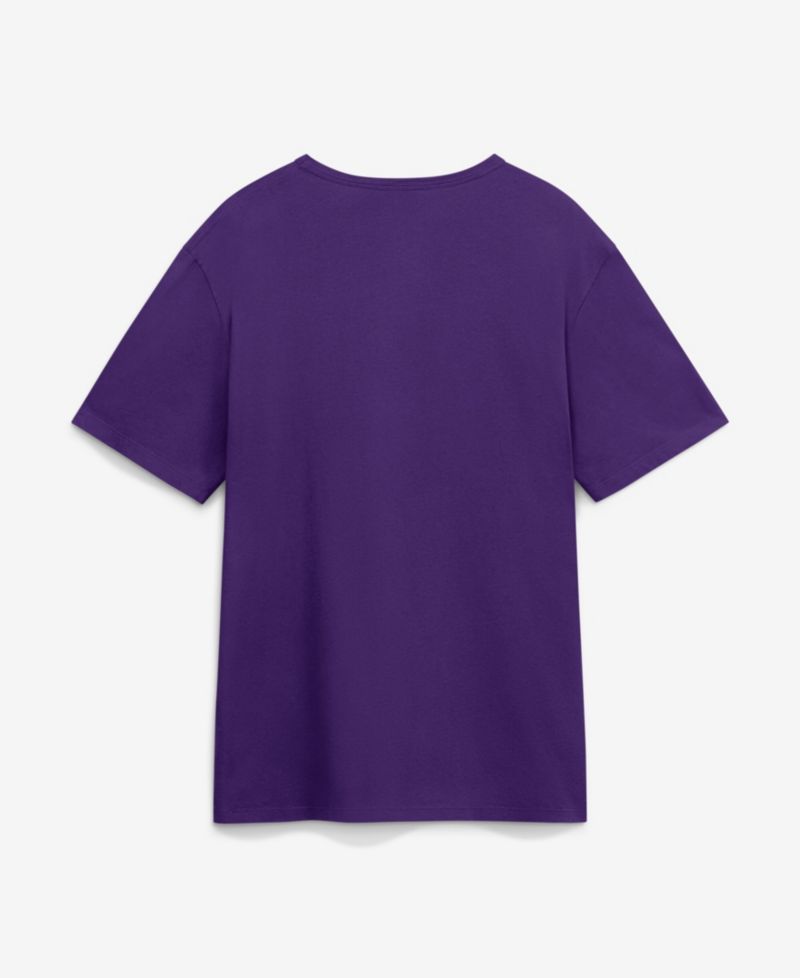 Men's Purple Tampa Bay Rays Alternate Logo Legacy T-Shirt