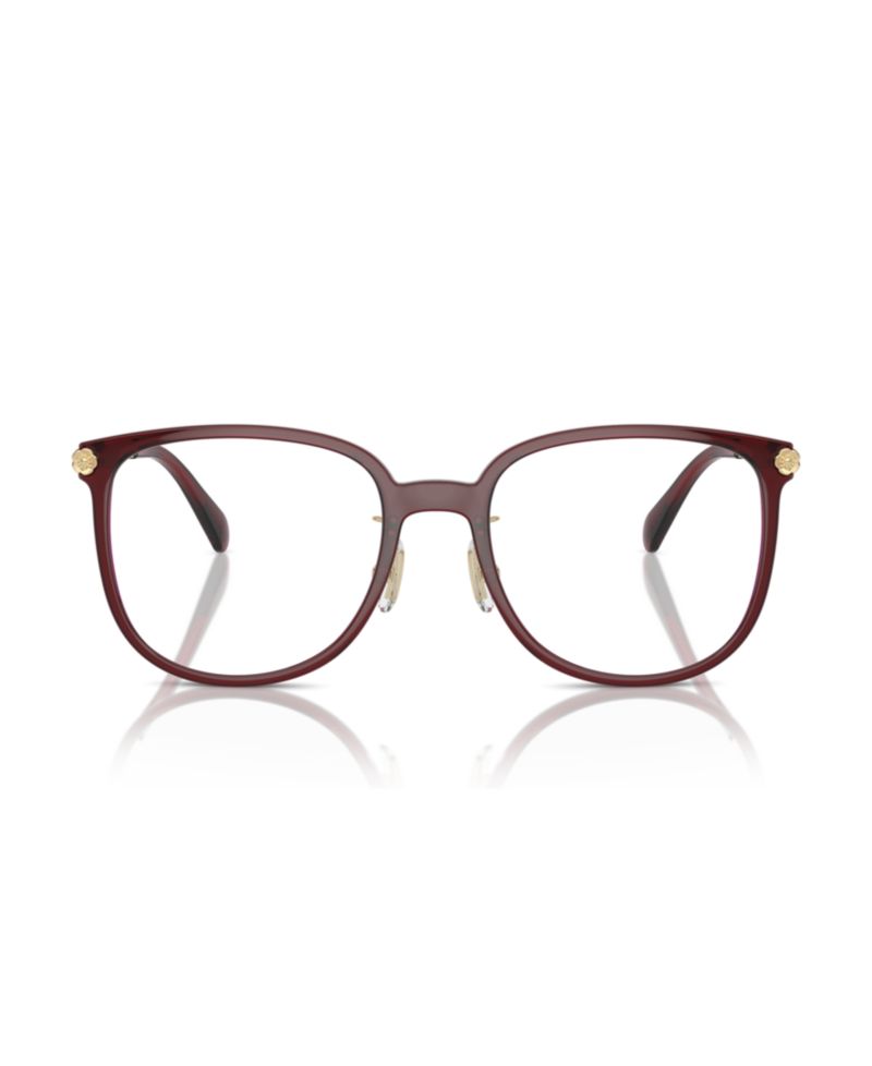 Woman Square Plastic HC6241D Eyeglasses