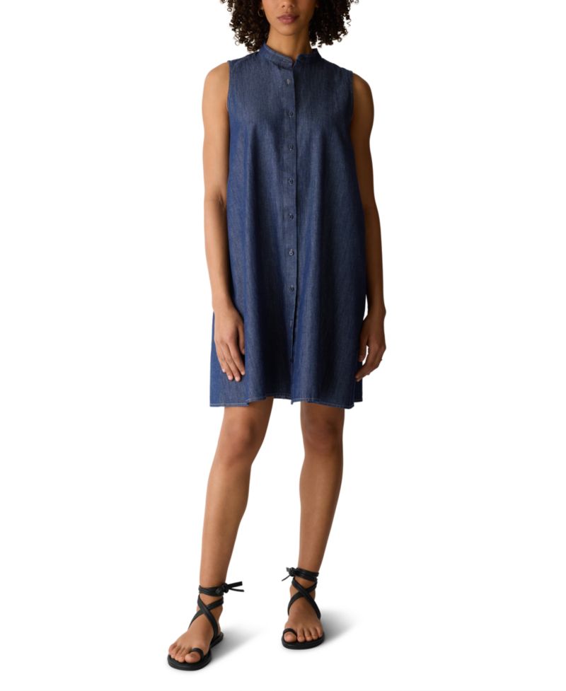 Women's Sleeveless Mandarin Band Collar Dress