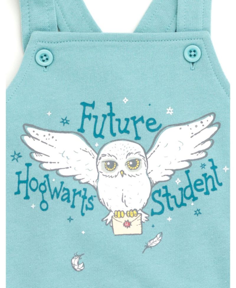 Baby Boys T-Shirt and Shortall Set