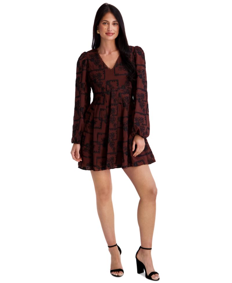 Women's Embroidered V-Neck Blouson Sleeve Mini Dress