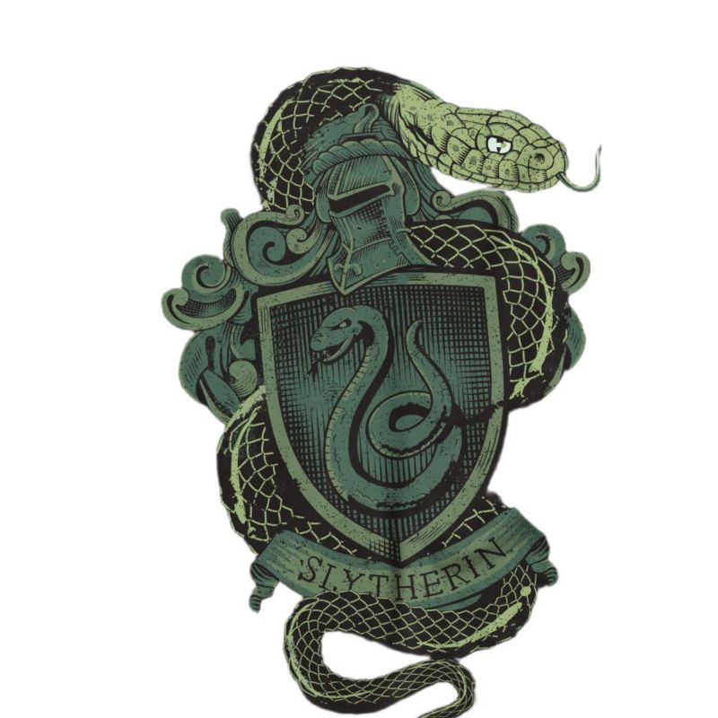 Men's Slytherin Snake Crest T Shirt