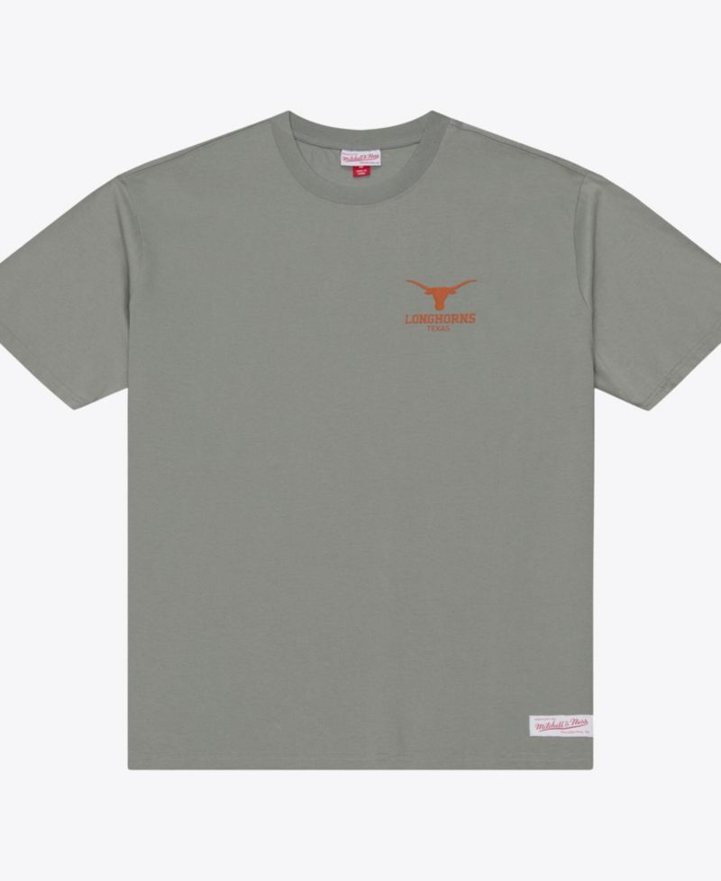Men's Gray Texas Longhorns Core Icon T-Shirt