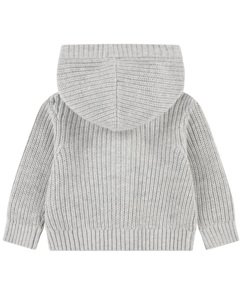 Baby Boys' Hooded Sweater