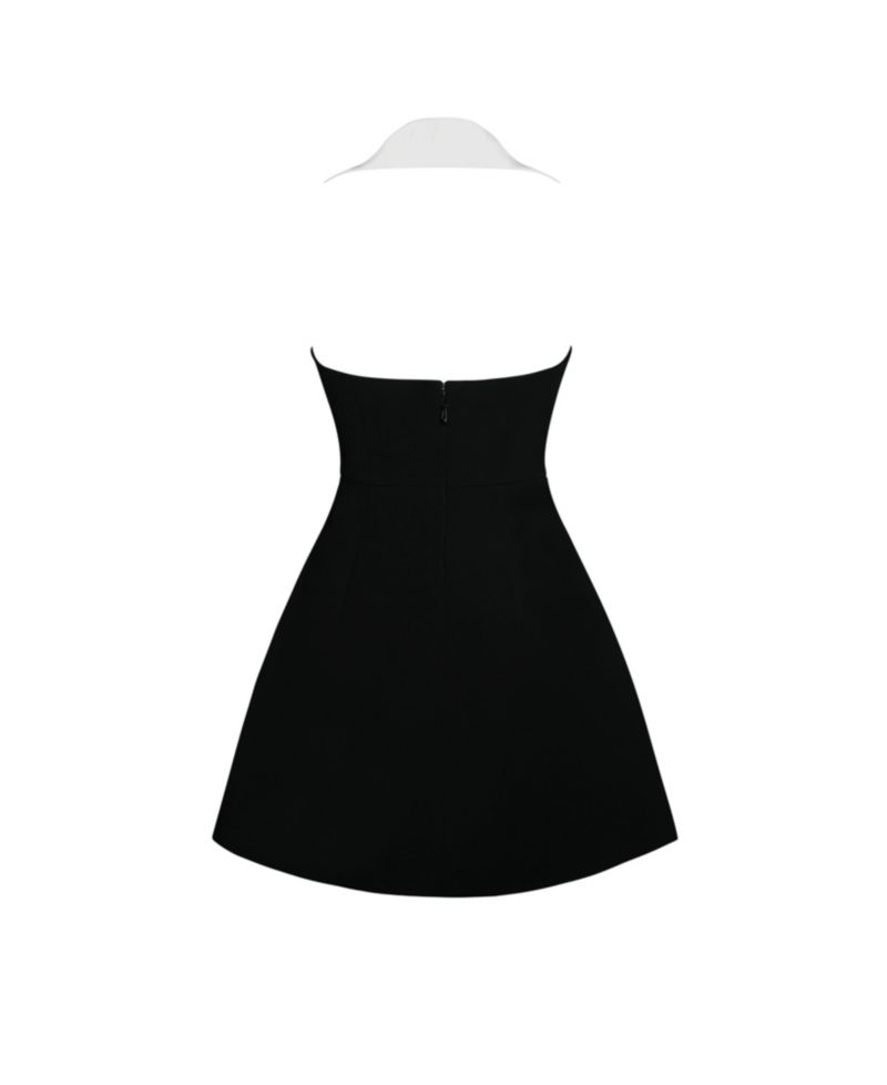 Women Ignacia Office Casual Black and White Halter Mini A-line Dress