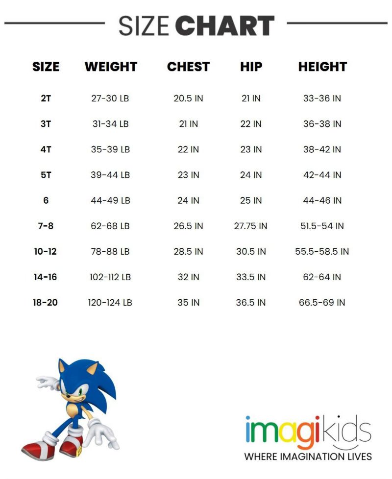 Sonic the Hedgehog Boys' 4-20 Fleece Hoodie
