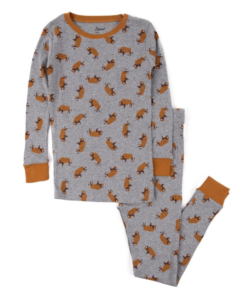 Boys' 4-20 Long-Sleeve Animal and Nature Print Cotton Top and Pants, 2-Piece Set