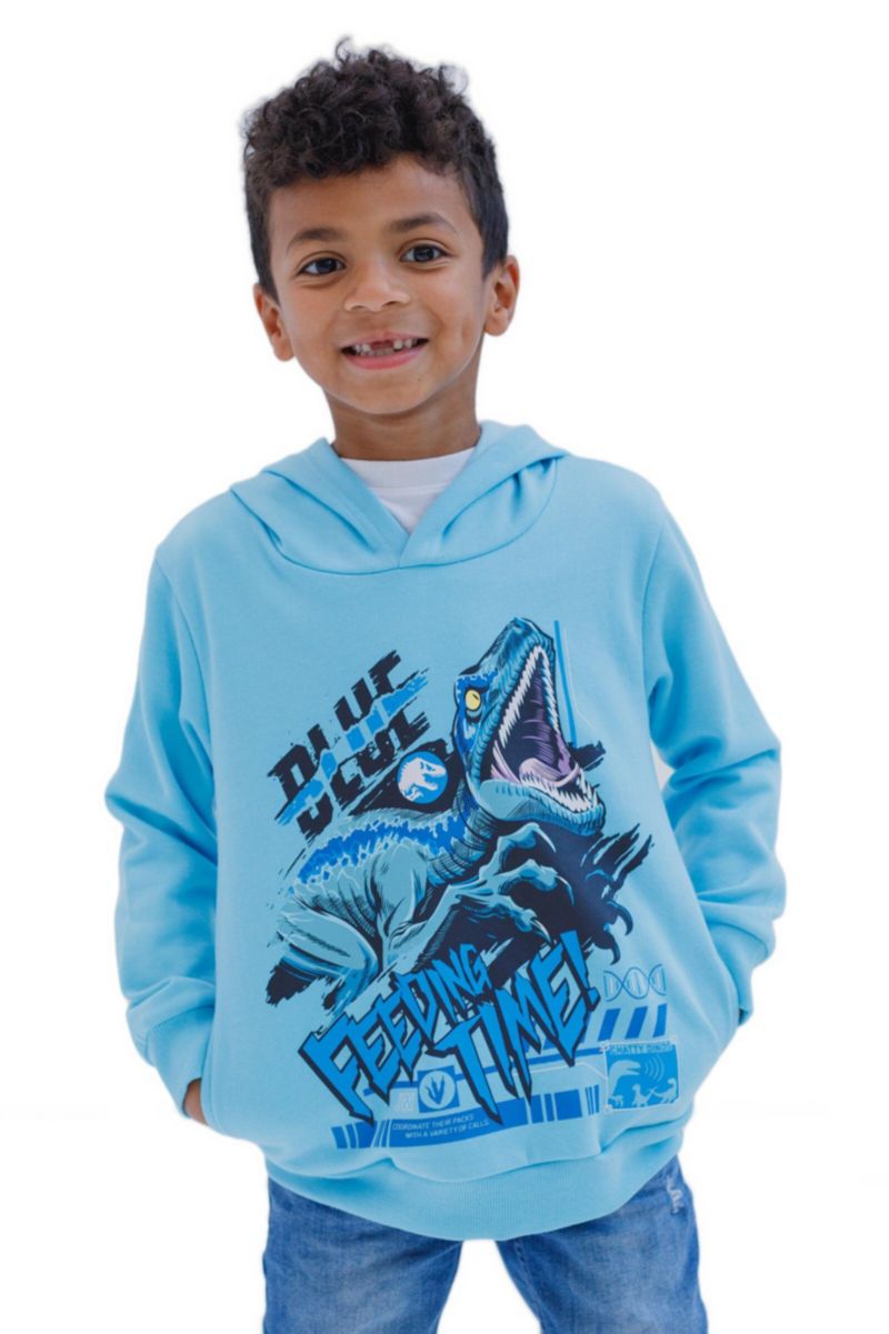 Toddler Boys Boys(3T-5T) T-Rex Fleece Pullover Hoodie