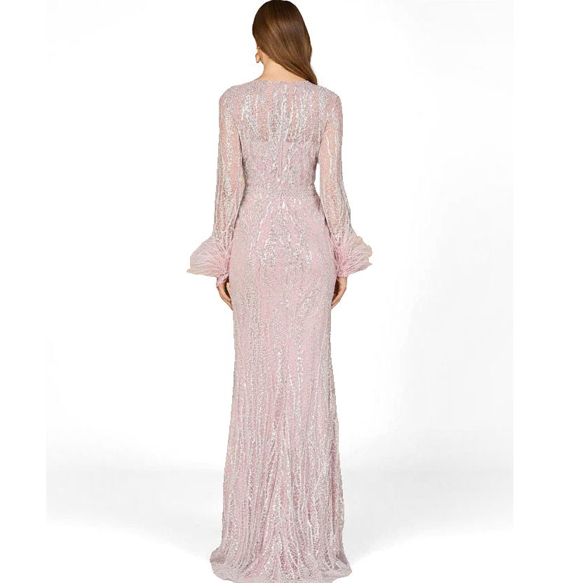 Women's Long Sleeve Sheath Gown with Feathers