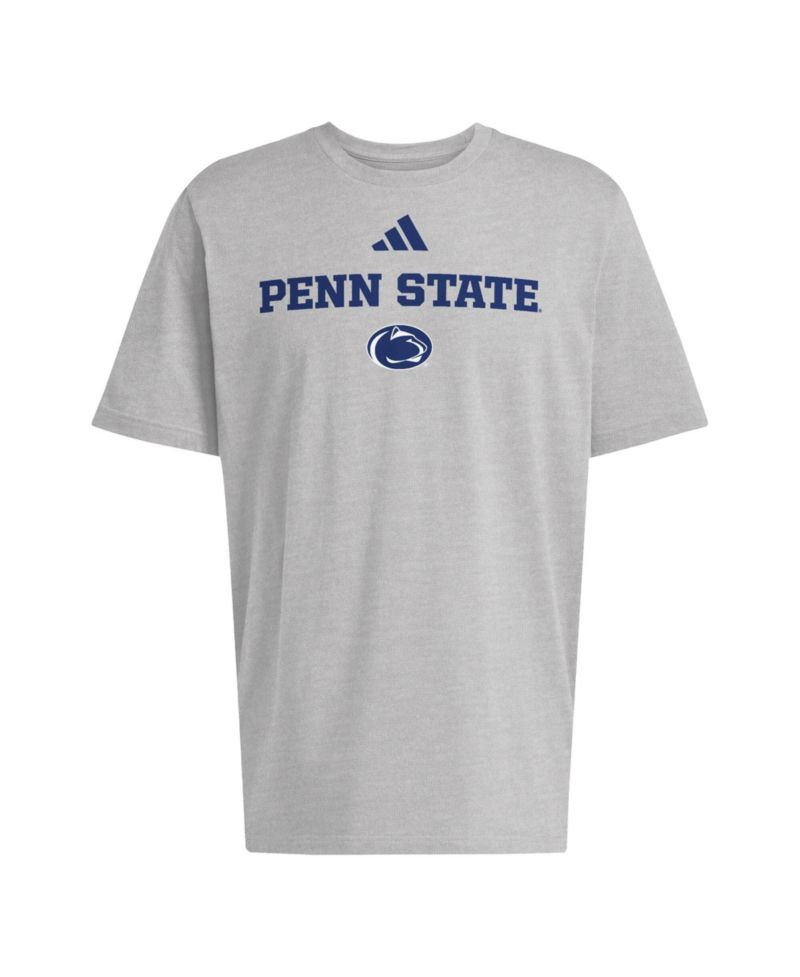 Men's Gray Penn State Nittany Lions Wordmark Cotton T-Shirt