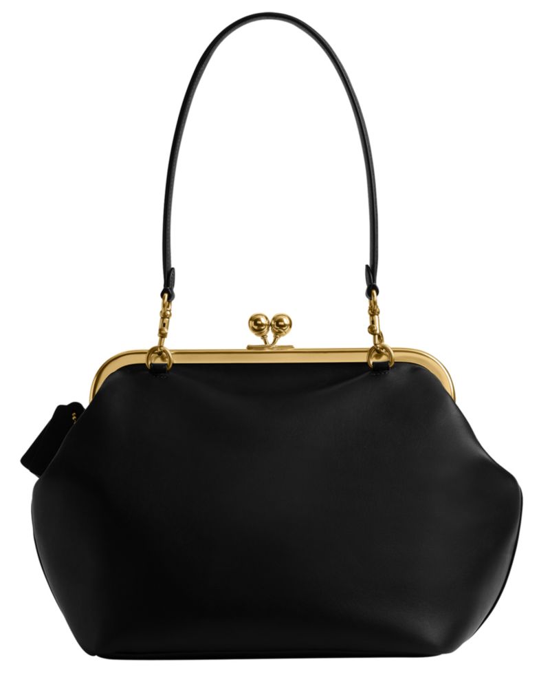 Kisslock Medium Leather Frame Bag 27