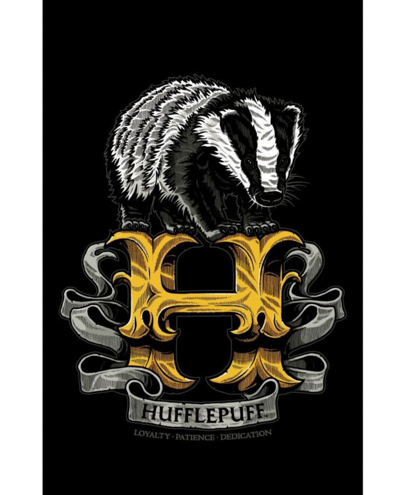 Big & Tall Hufflepuff Badger Black T-shirt-4XL