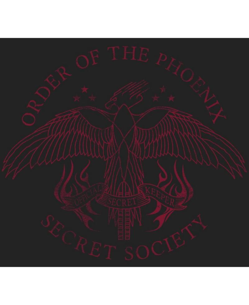 Big & Tall Order of the Phoenix Symbol Black T-shirt-4XL