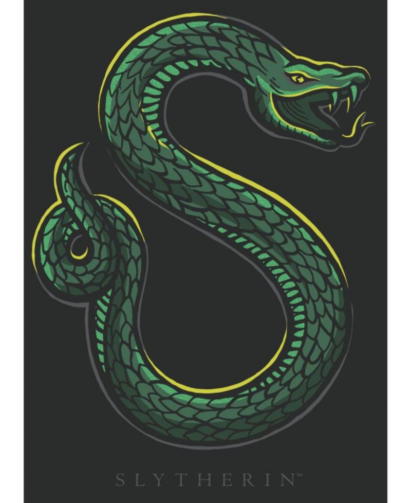 Big & Tall Slytherin Two Puff Ink Black Tee-6XL