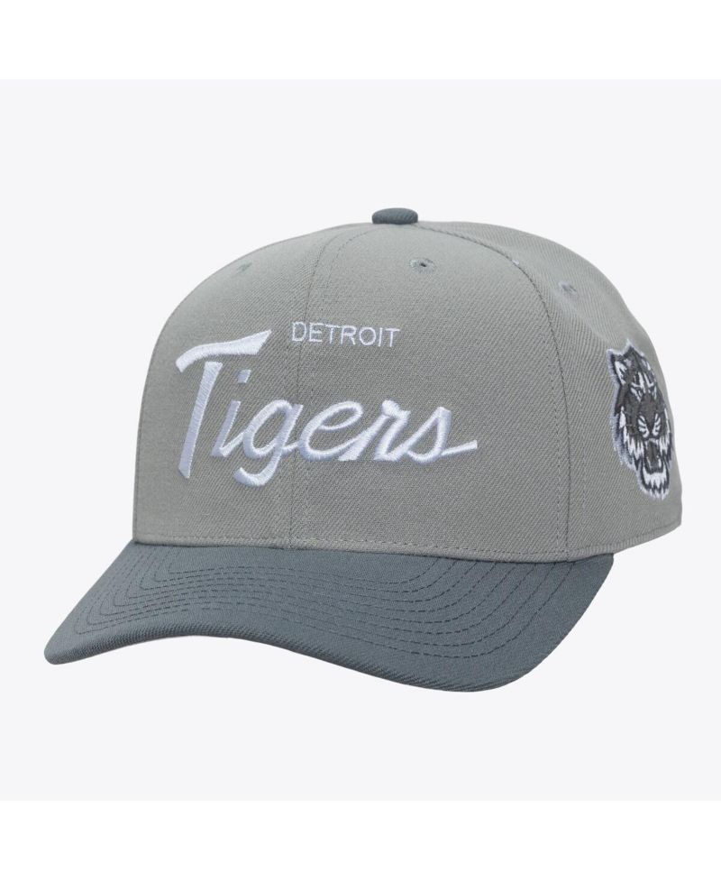 Men's Gray Detroit Tigers Thunderstorm Head Coach Pro-Crown Adjustable Hat