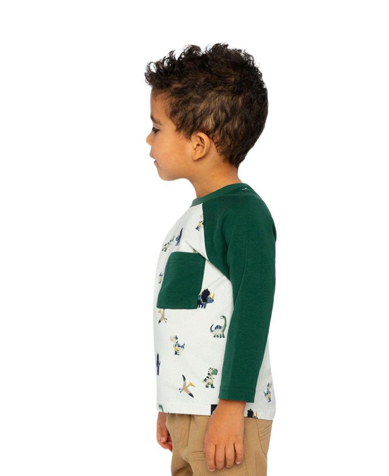 Baby Boys (12M-24M) Long Sleeve Raglan T-Shirt Dinosaur Print