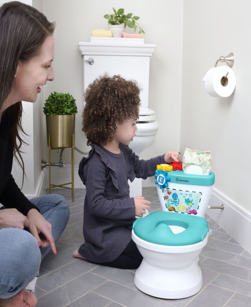 Baby Geared for Success 2-in-1 Potty Training System