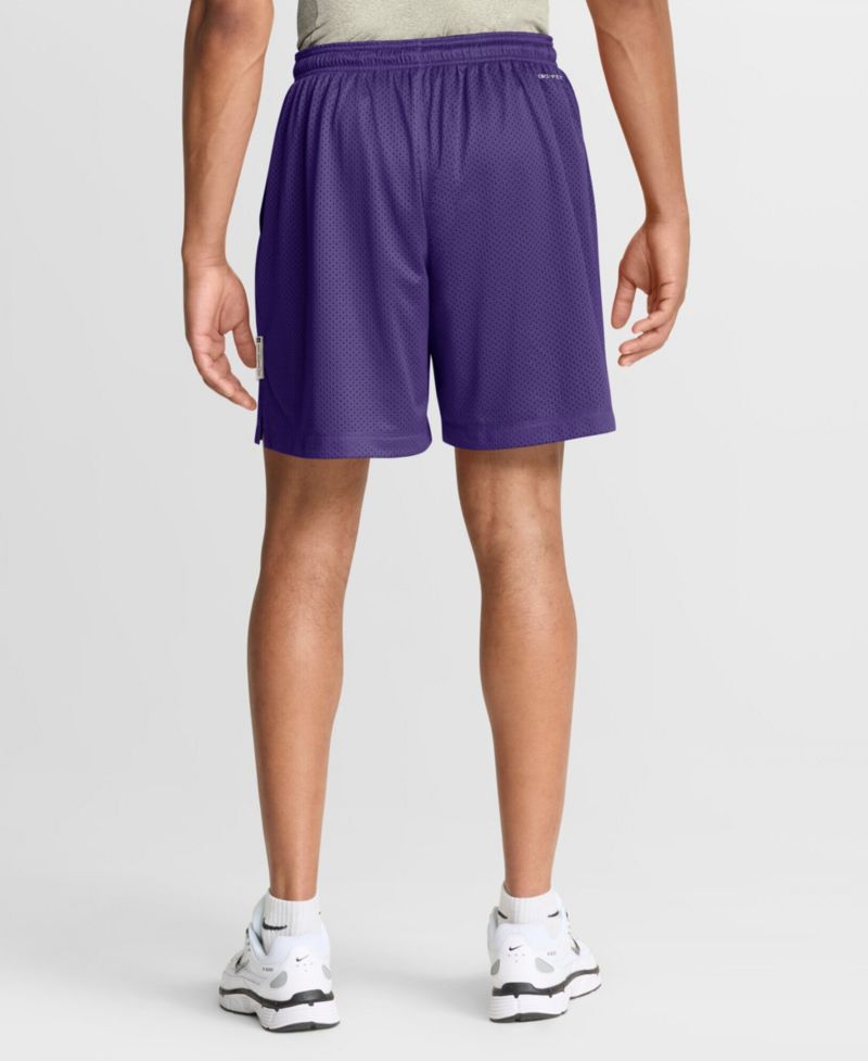Men's Purple/Platinum Minnesota Vikings Sideline Standard Issue Dri-FIT Reversible Shorts