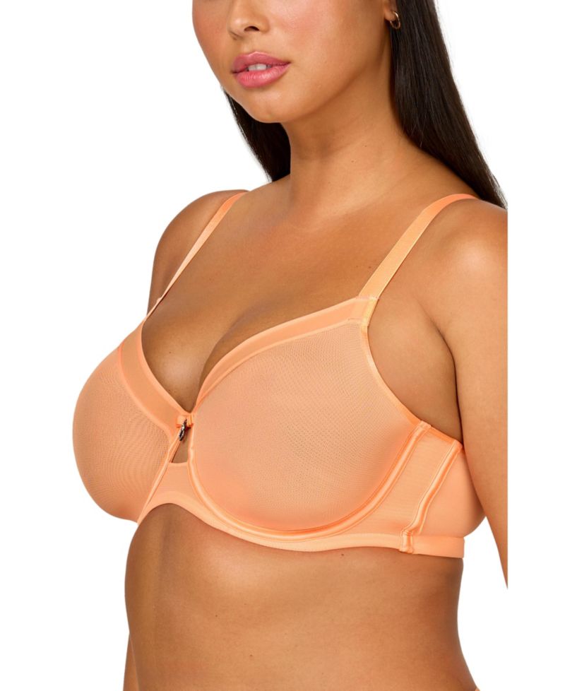 Women's Sheer Mesh Full Coverage Unlined Underwire Bra