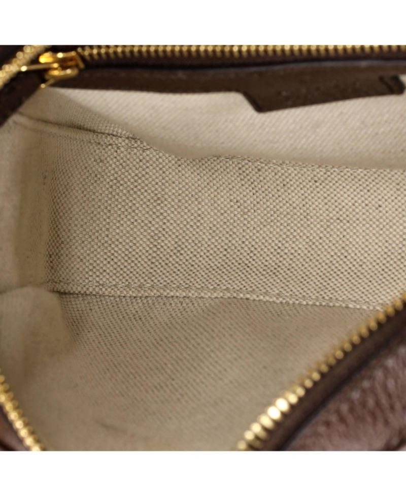 Mini Ophidia Flap Shoulder Bag GG Coated Canvas