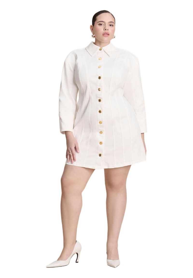 Women's Plus Size Corset Detail Denim Mini Dress