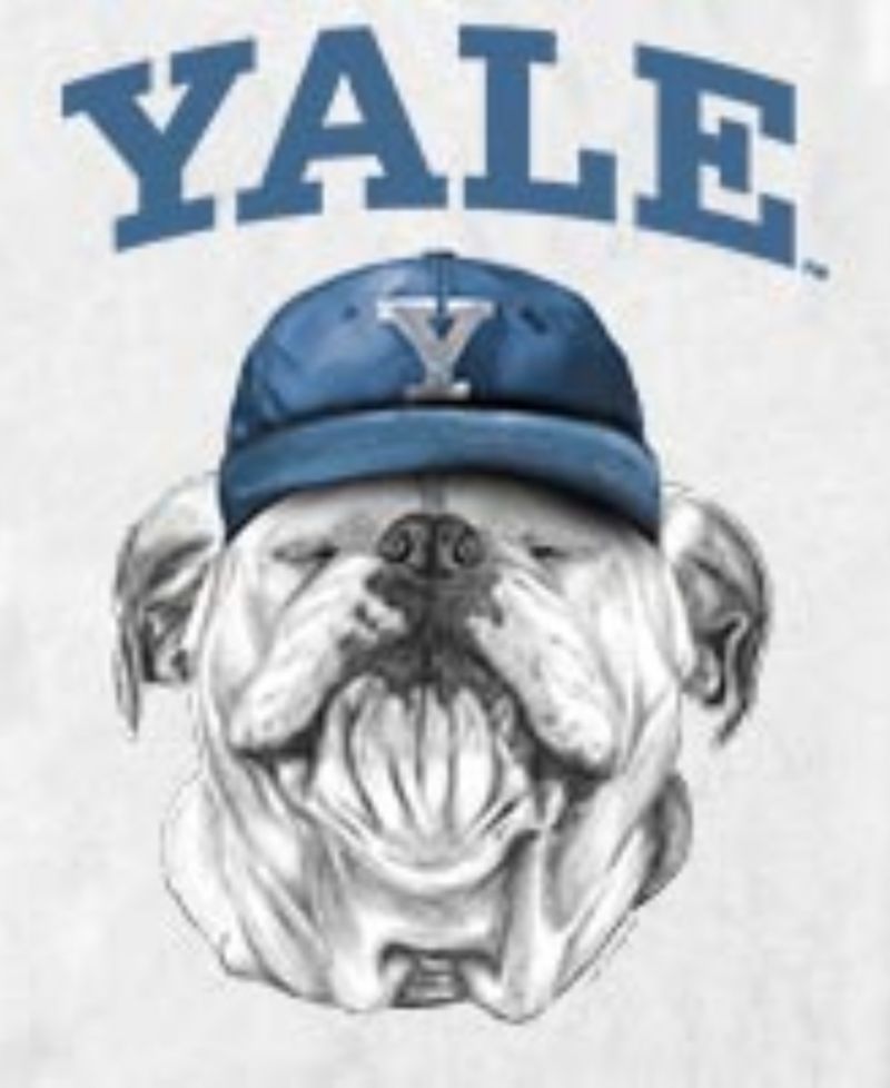 Men's Yale Bulldogs Mascot Baseball Cap Graphic T-Shirt