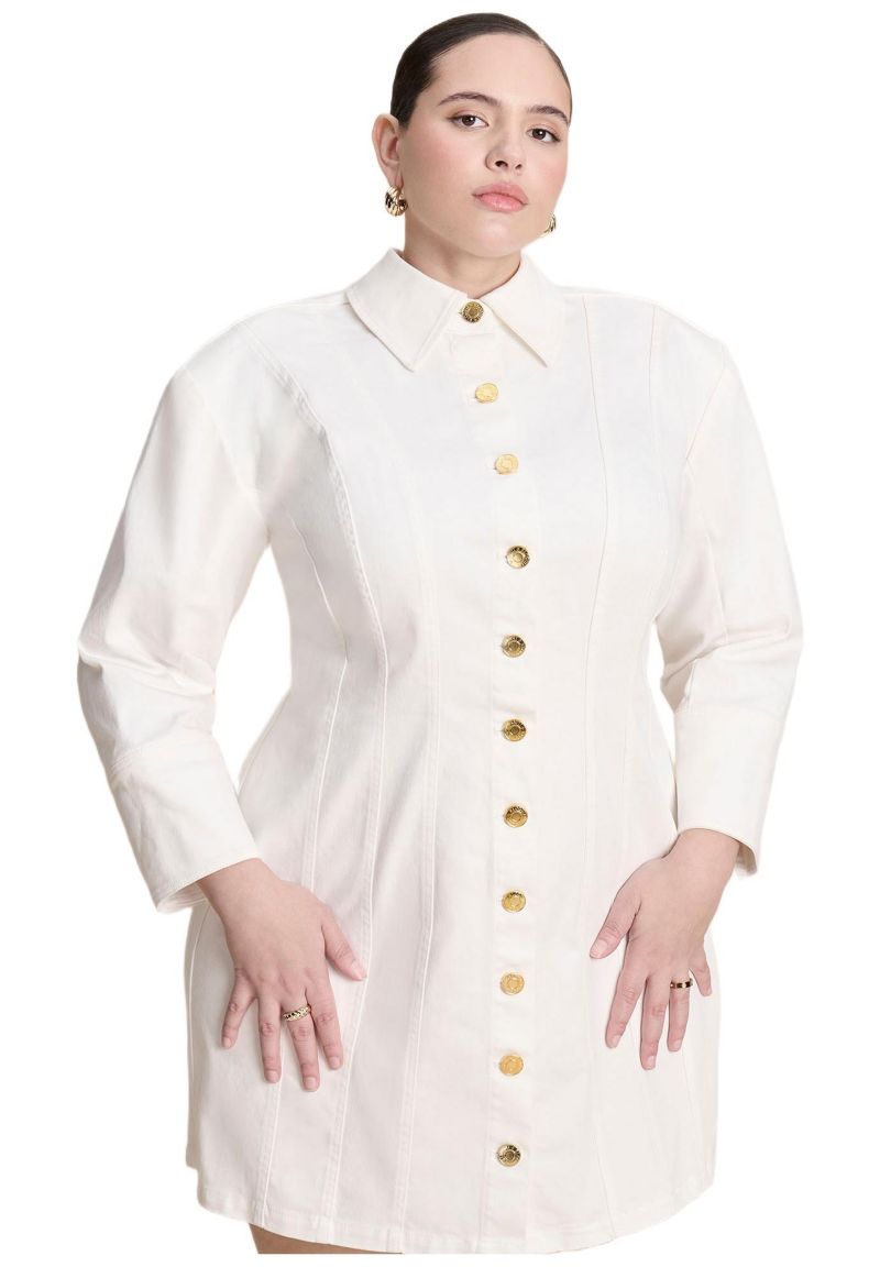 Women's Plus Size Corset Detail Denim Mini Dress