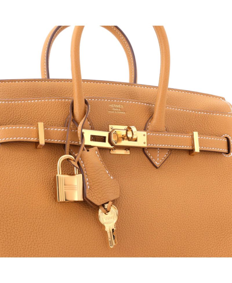 Birkin 25 Handbag Brown Togo with Gold Hardware